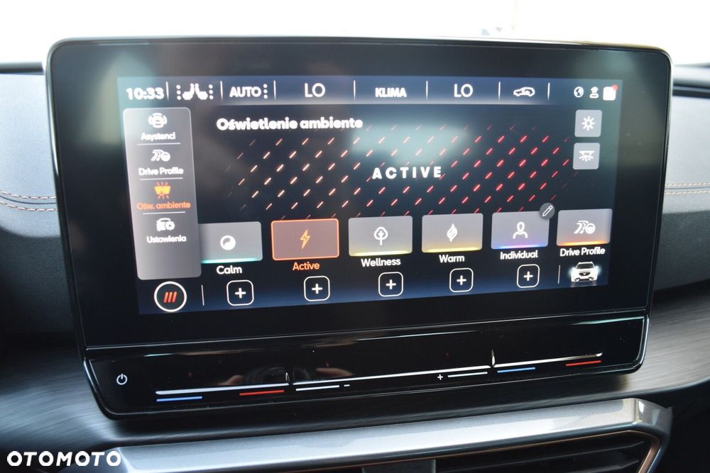Cupra Formentor 1.5 TSI DSG - 23