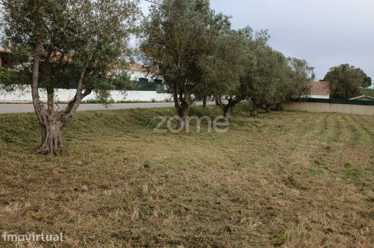 Terreno Urbano para Construção | 1.120 m² | Azoia – Rua da Escola - Grande imagem: 2/8