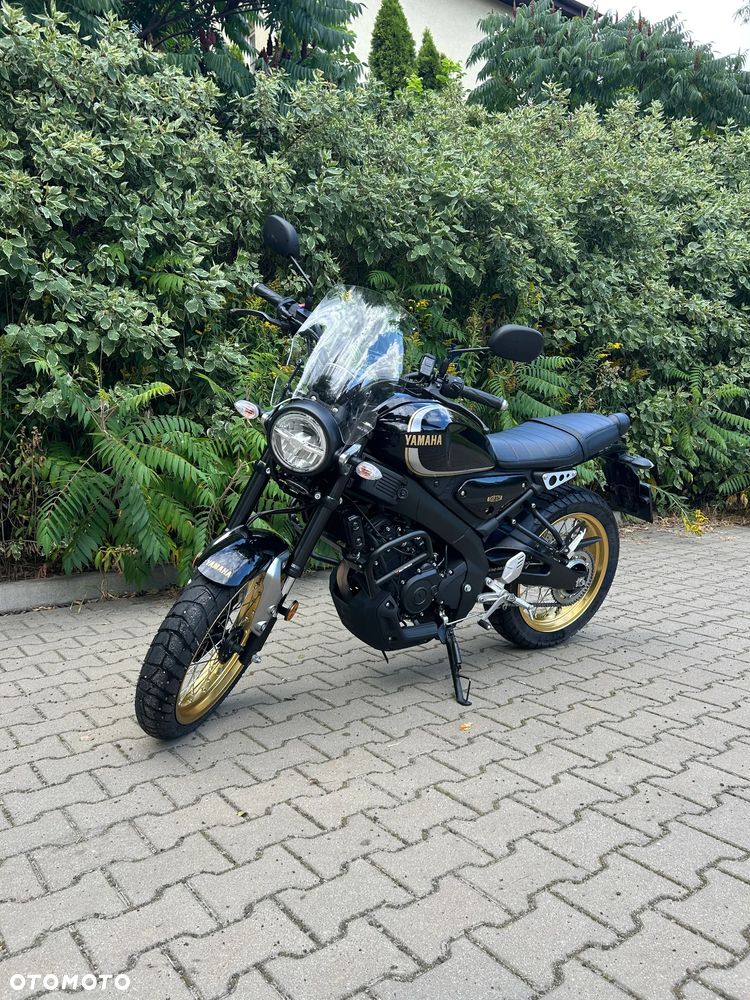 Yamaha XSR - 2