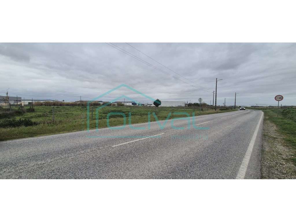 Terreno Urbanizável Venda Benavente - Grande imagem: 2/4