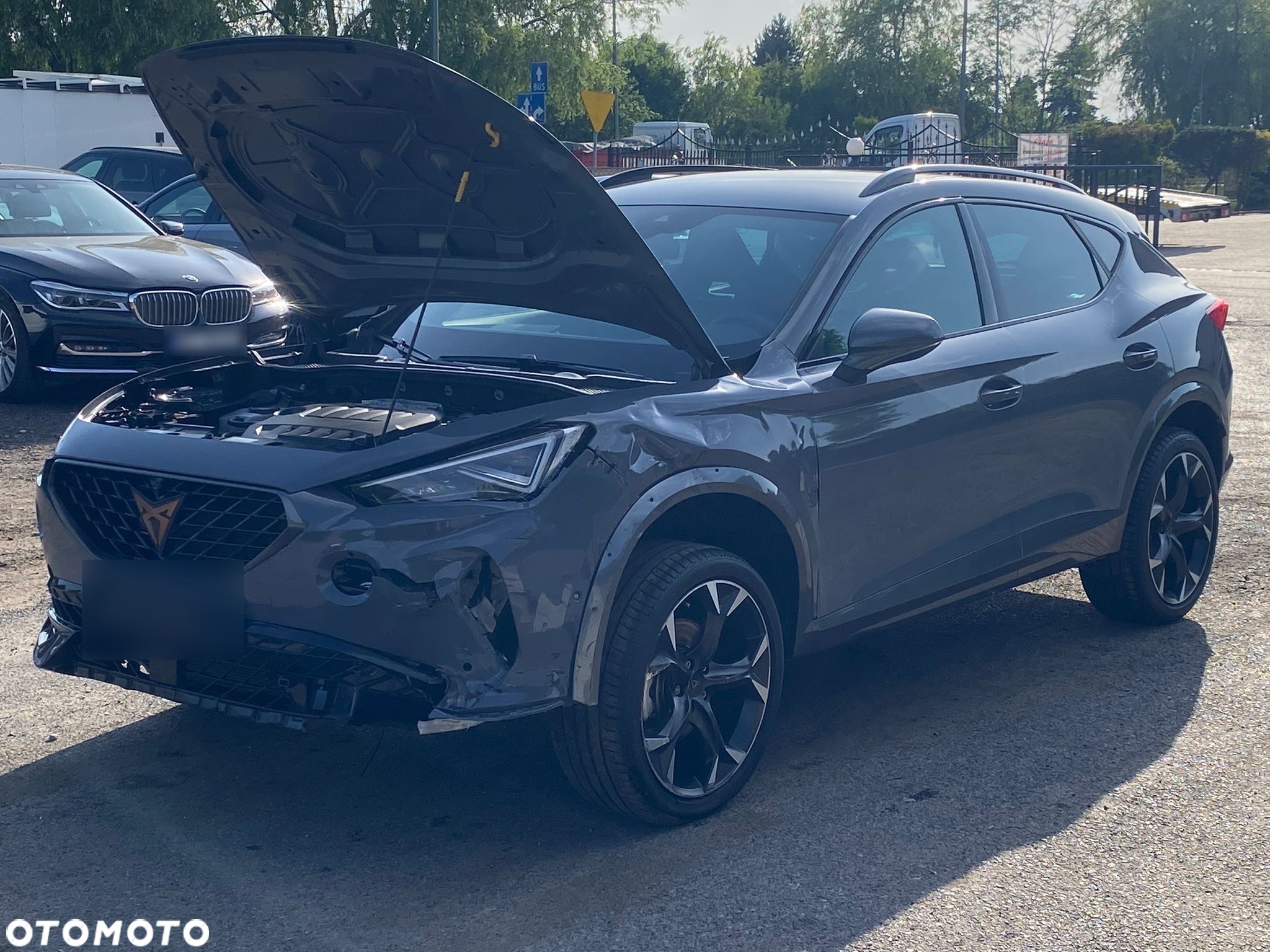 Cupra Formentor 2.0 TSI 4Drive DSG - 9