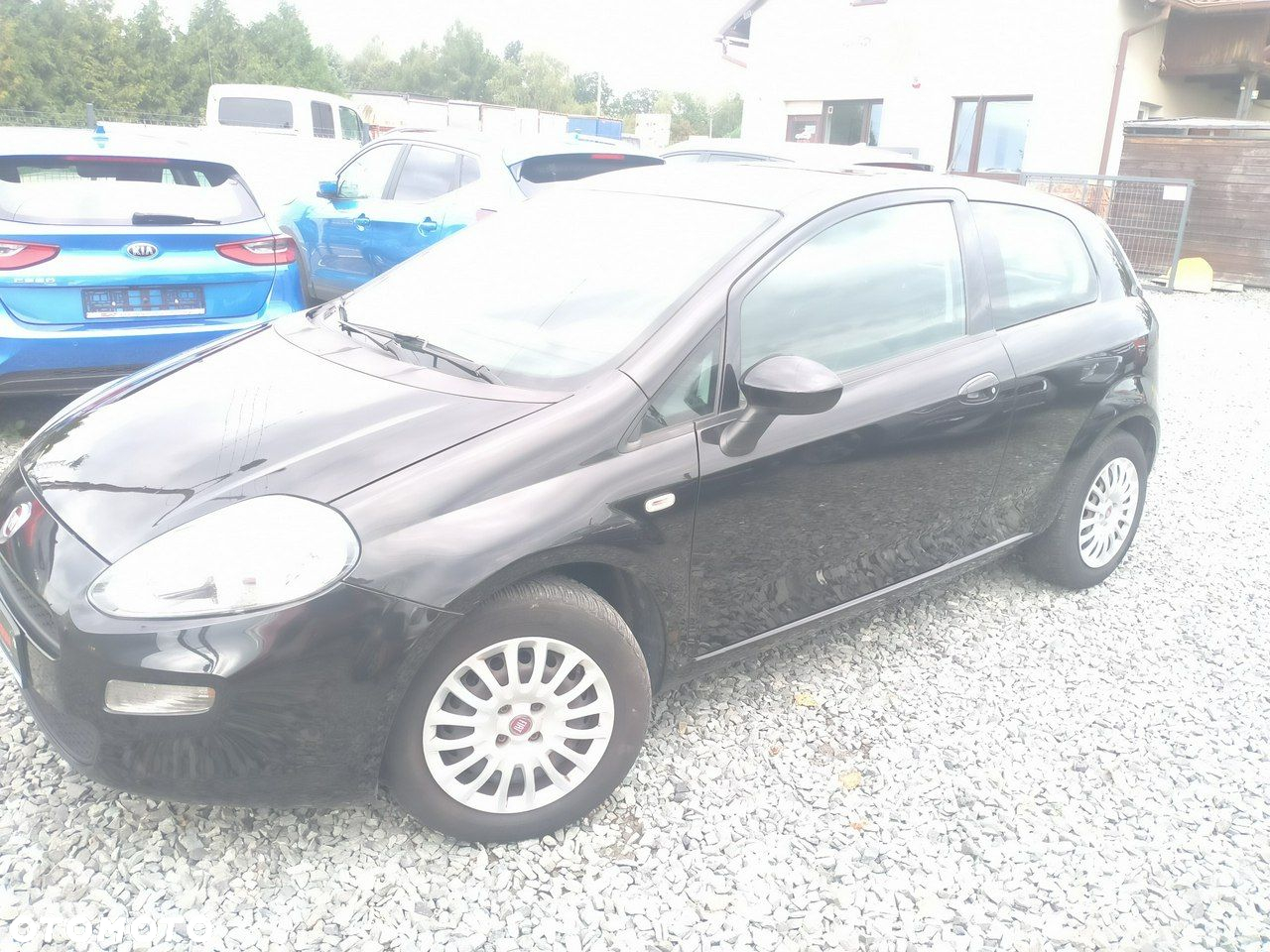 Fiat Punto 2012 - 2