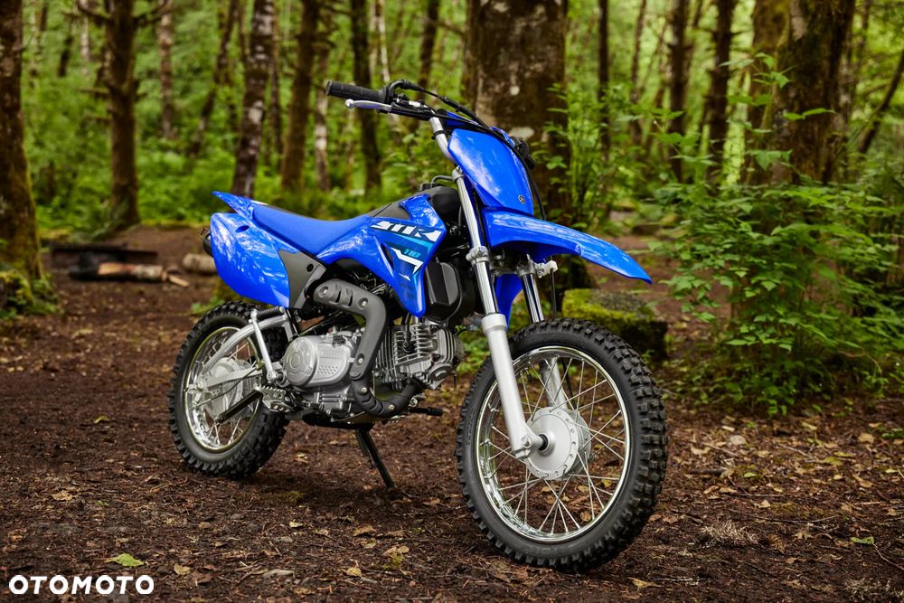 Yamaha TTR - 1