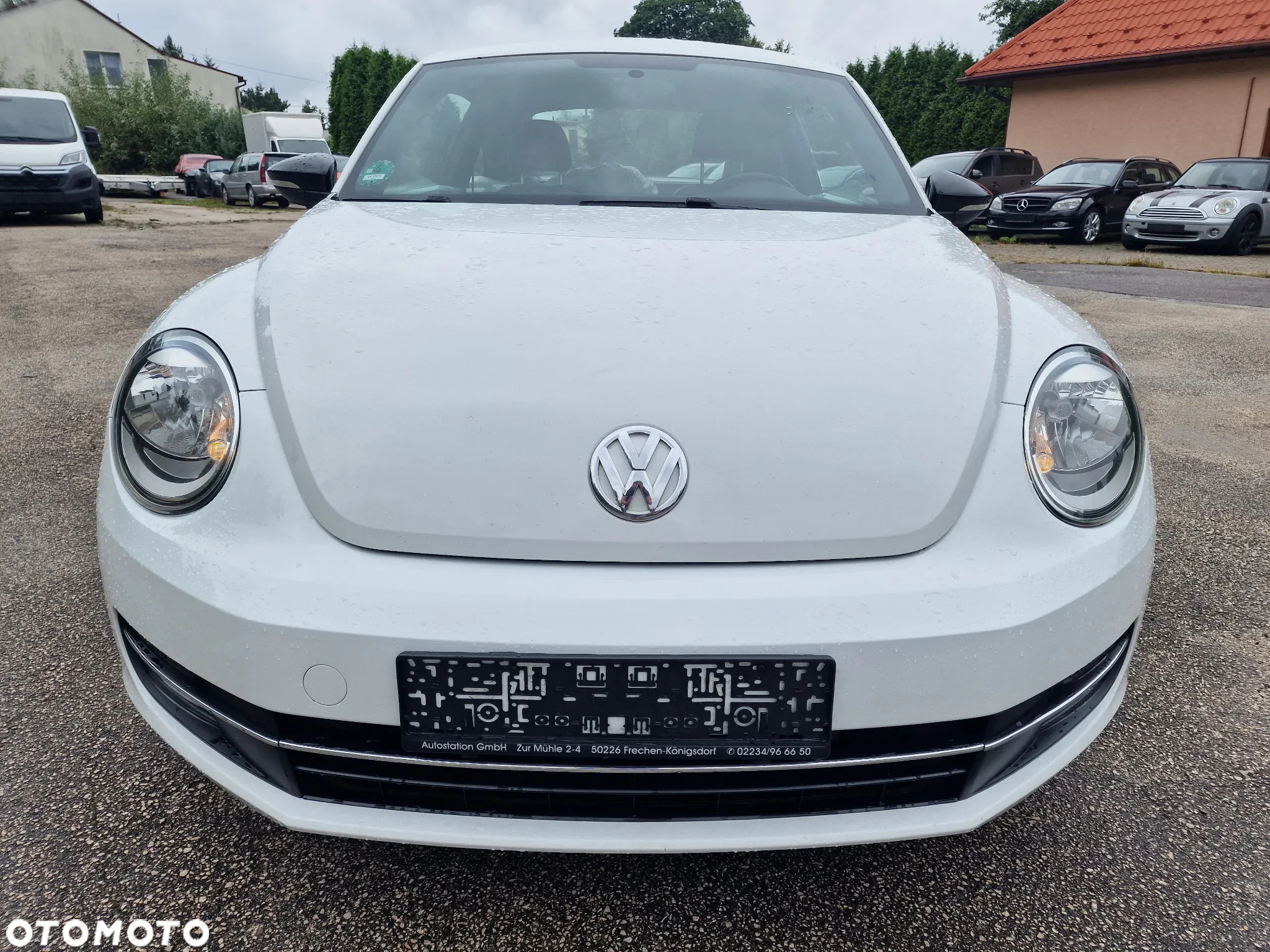 Volkswagen Beetle - 11