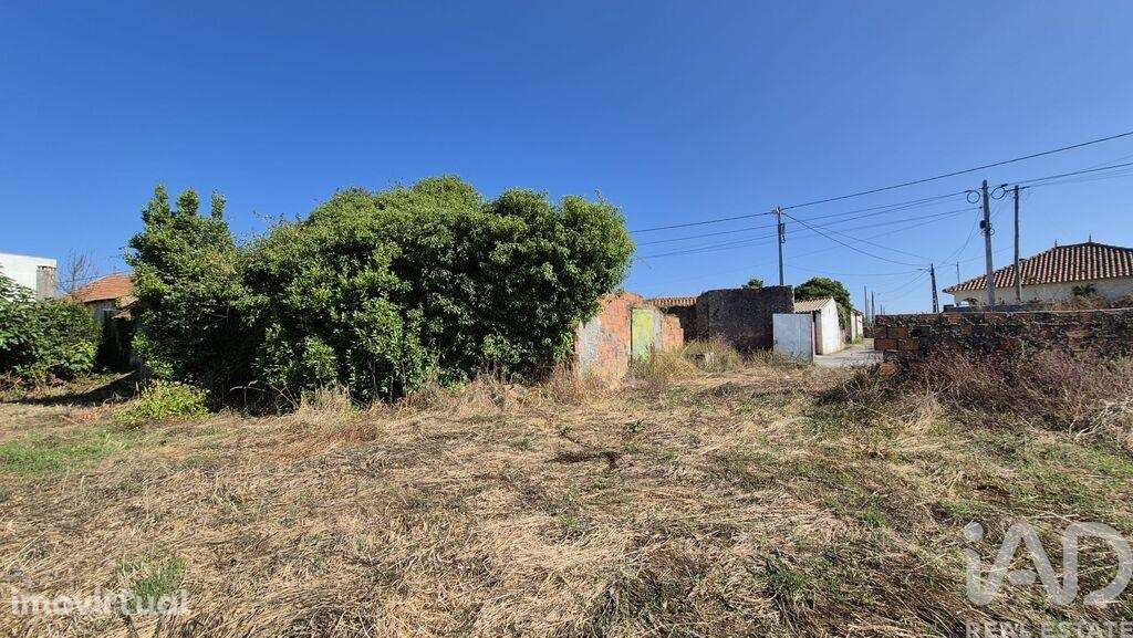 Terreno em Porto de Mós - São João Baptista e São Pedro de 4560,00 m2 - Grande imagem: 5/7