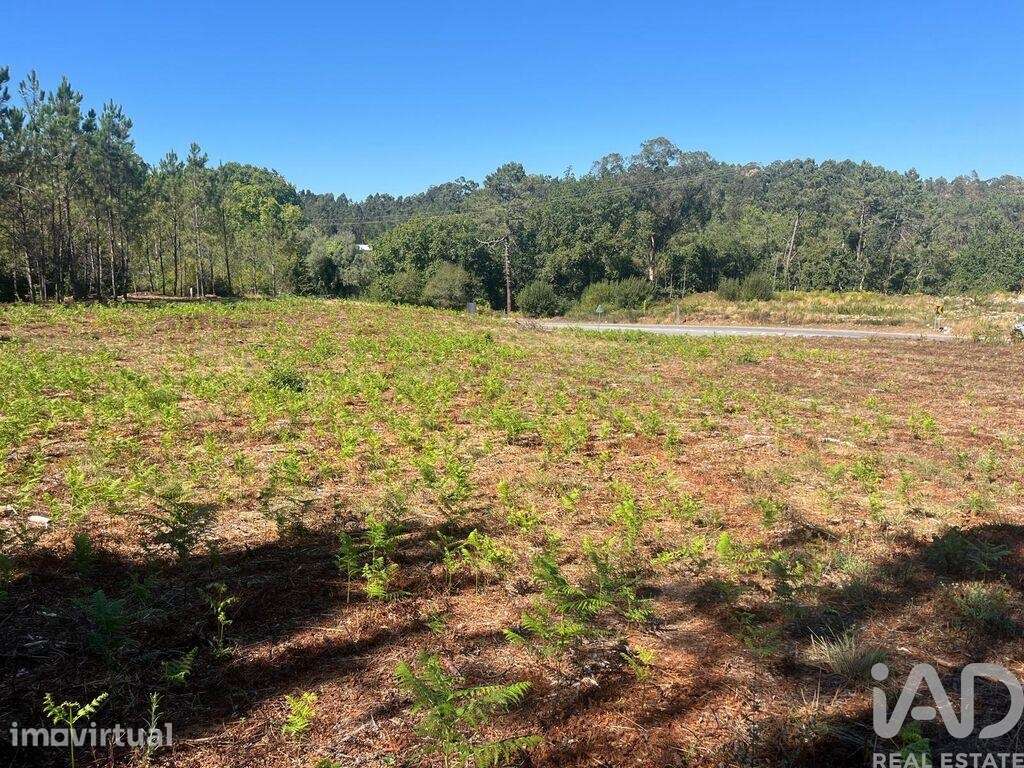 Terreno industrial em Antas - Grande imagem: 4/11