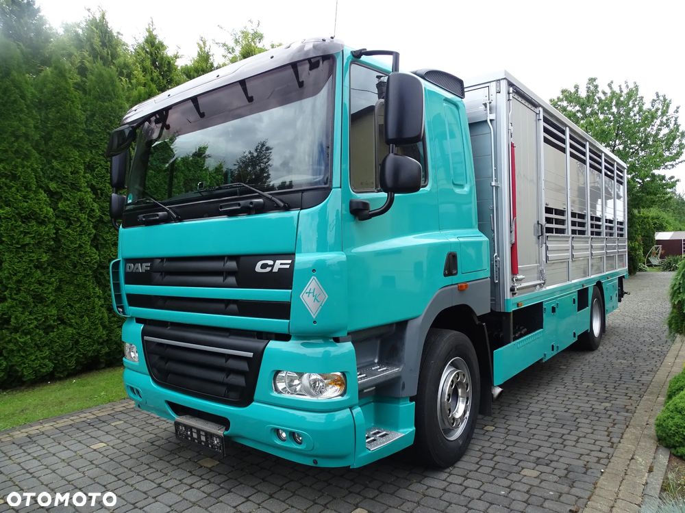 DAF CF 410 / DO ZWIERZĄT / ŻYWCA / BYDŁA / Z NIEMIEC / - 1