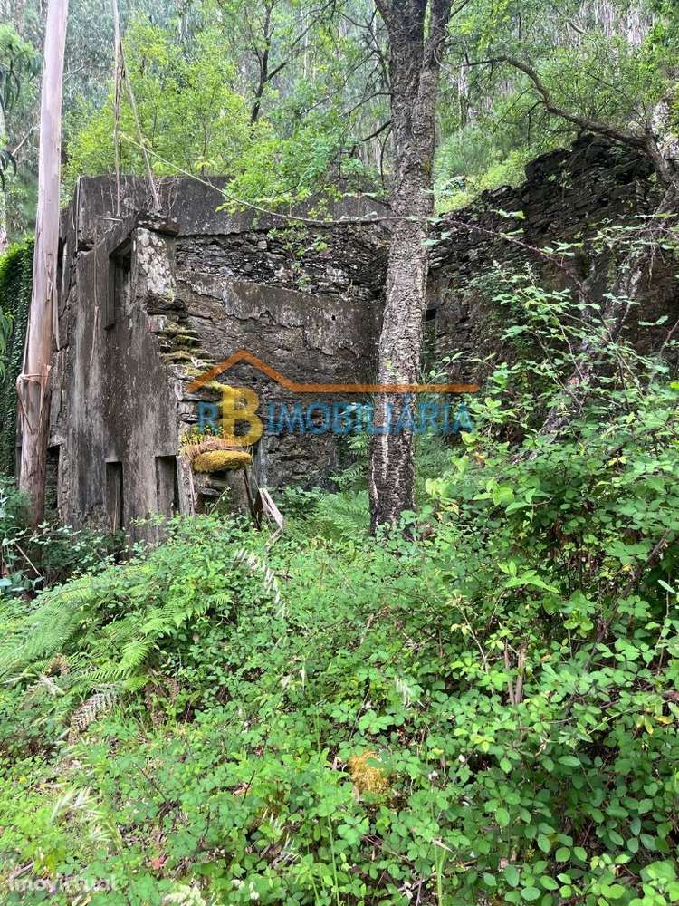 3 moradias em Rio de Frades - Arouca - Grande imagem: 4/21
