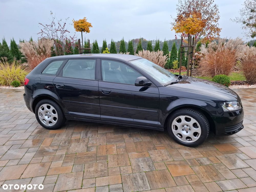 Audi A3 Sportback 1.6 Ambiente - 24