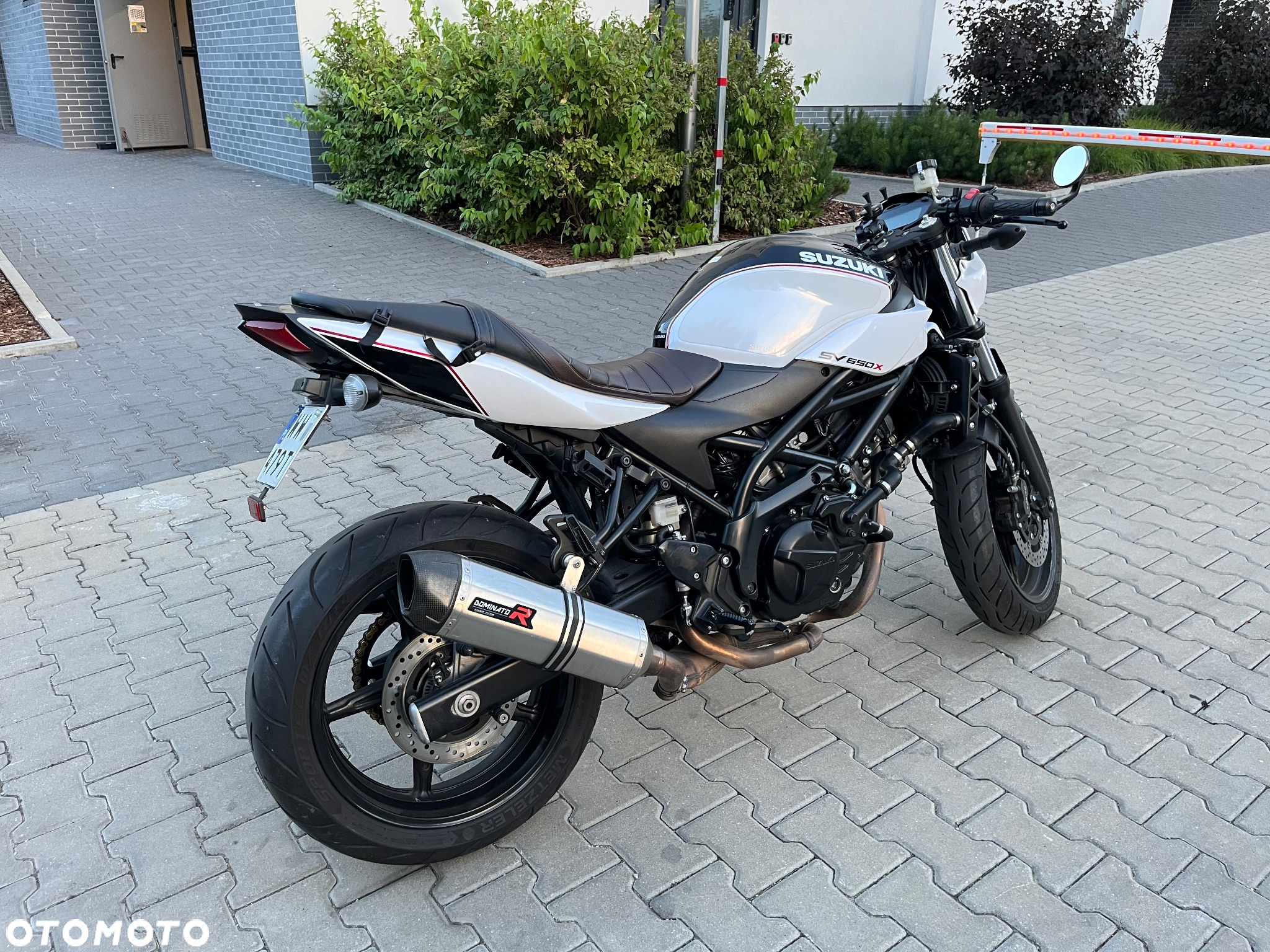 Suzuki SV - 5