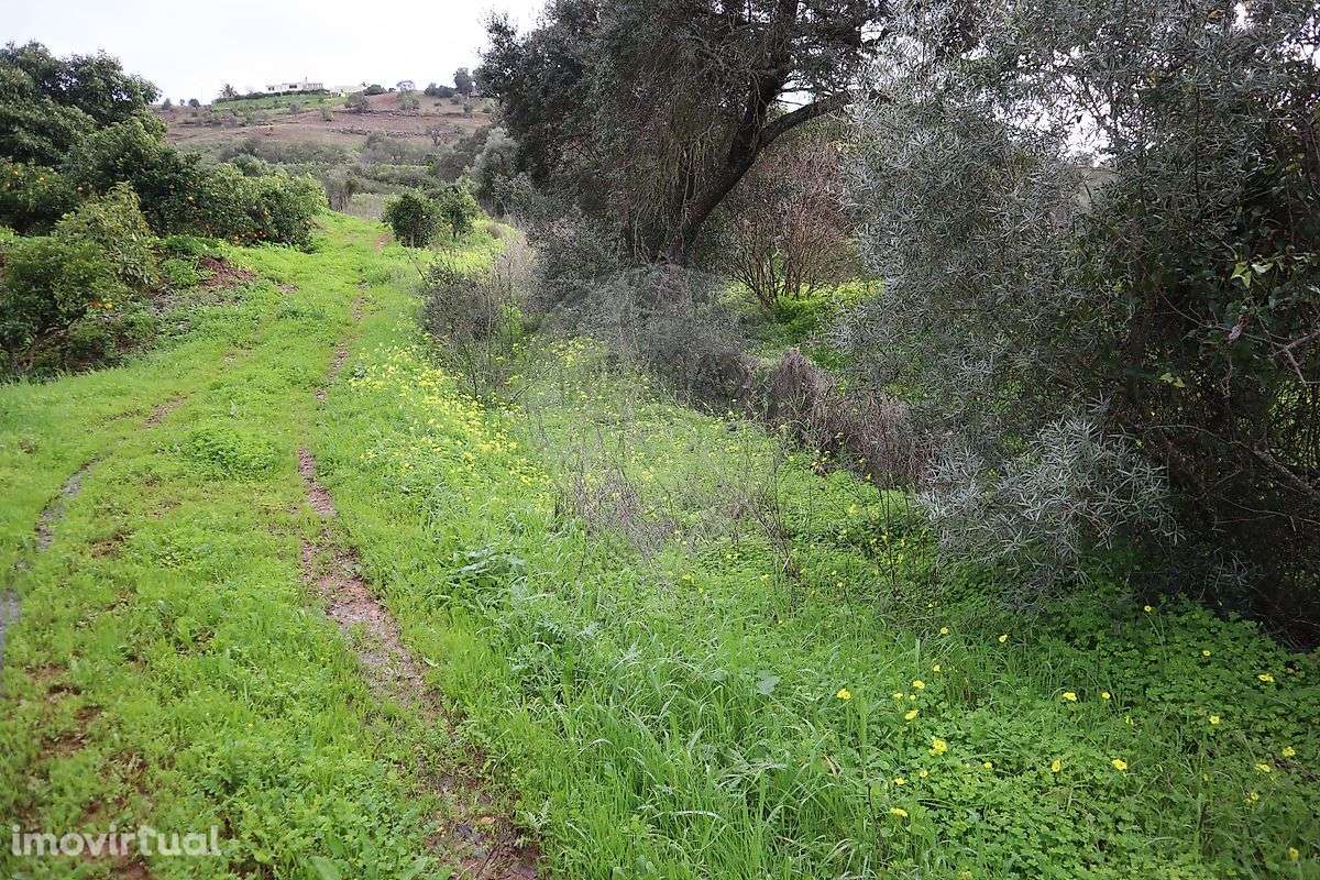 Terreno  para venda - Grande imagem: 2/10