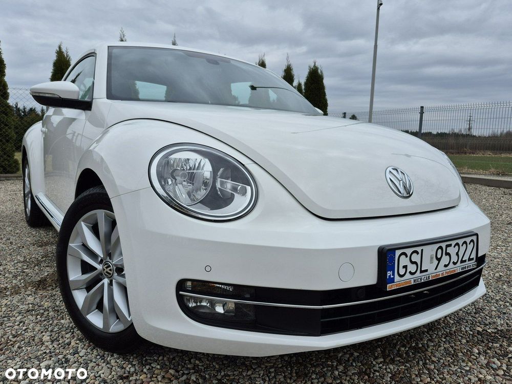 Volkswagen Beetle - 21