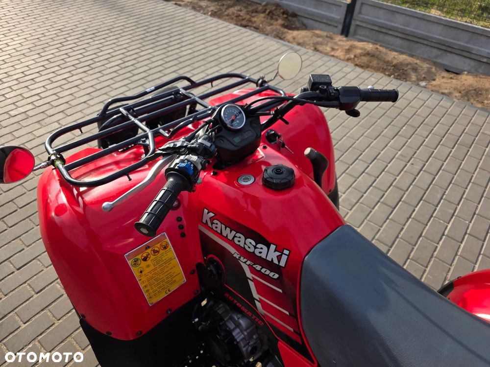 Kawasaki Brute Force - 3