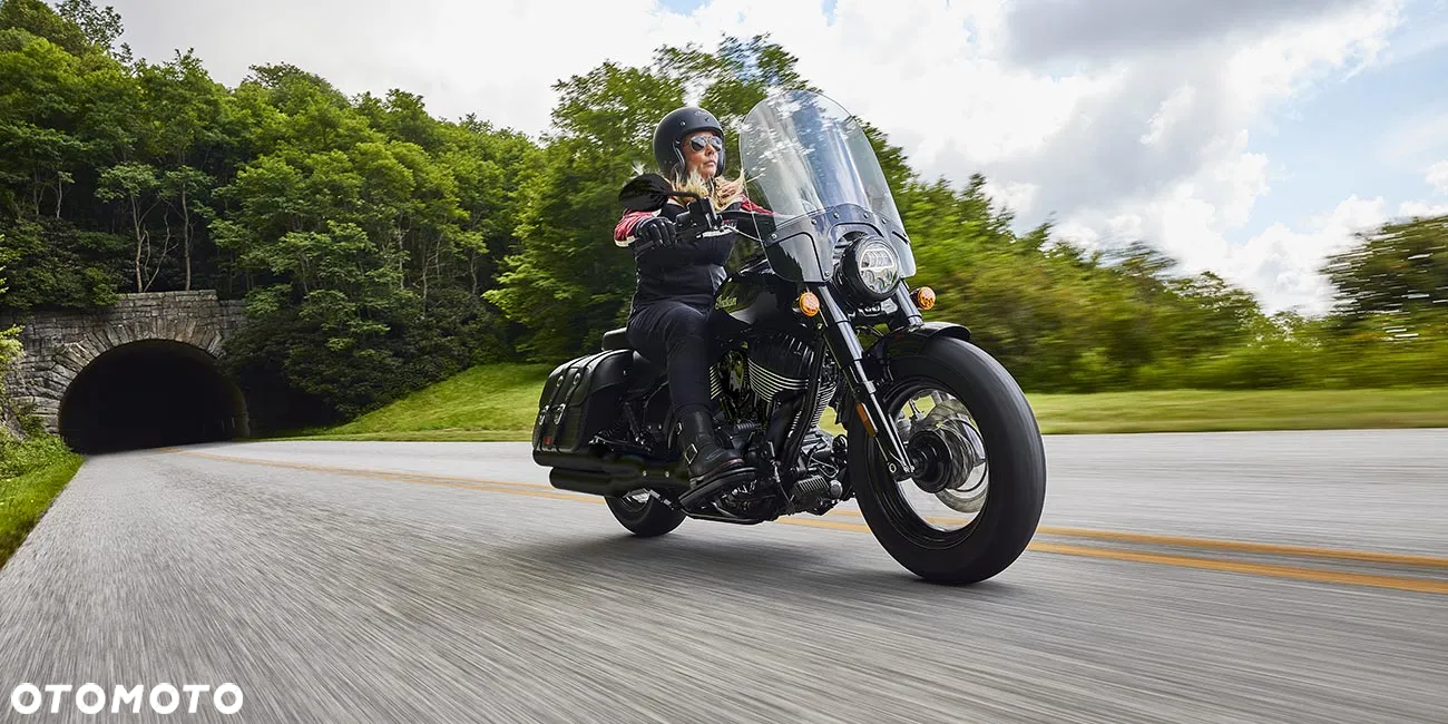 Indian Chief - 14