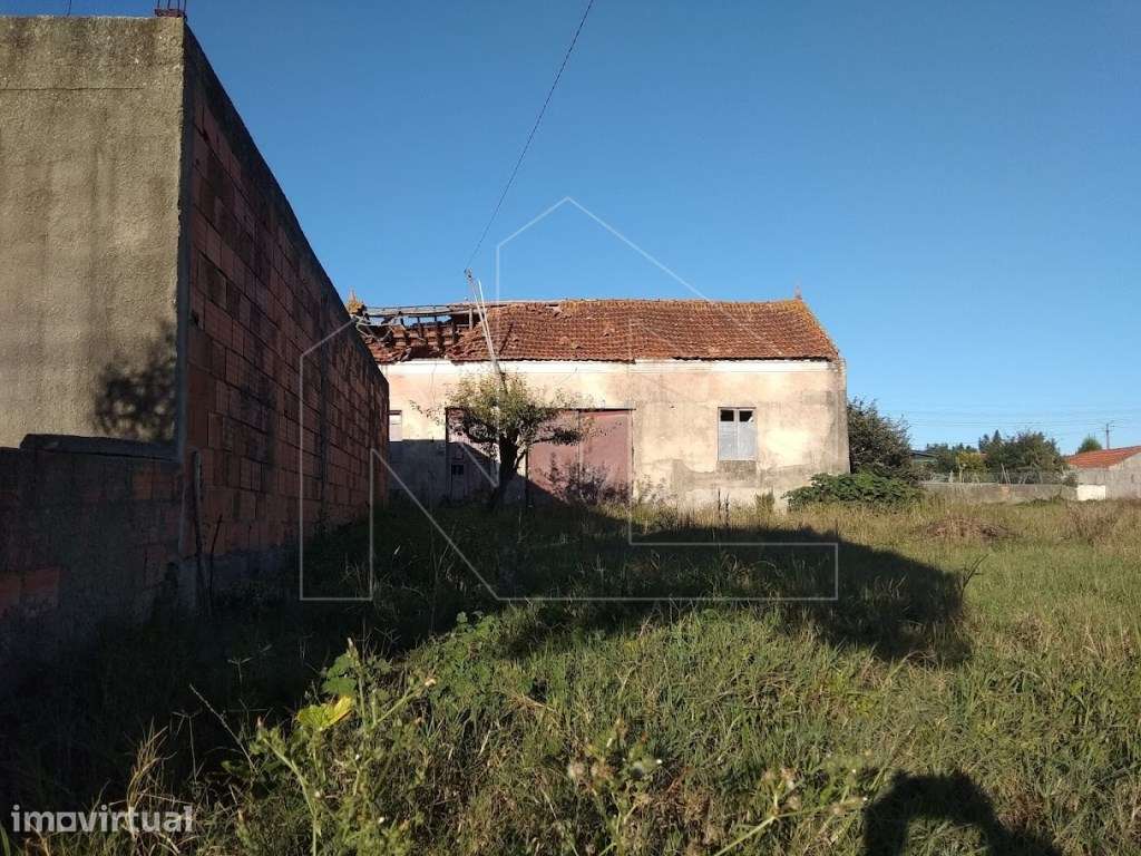 Ruína com excelente potencial de reconstrução em Vagos - Grande imagem: 2/9