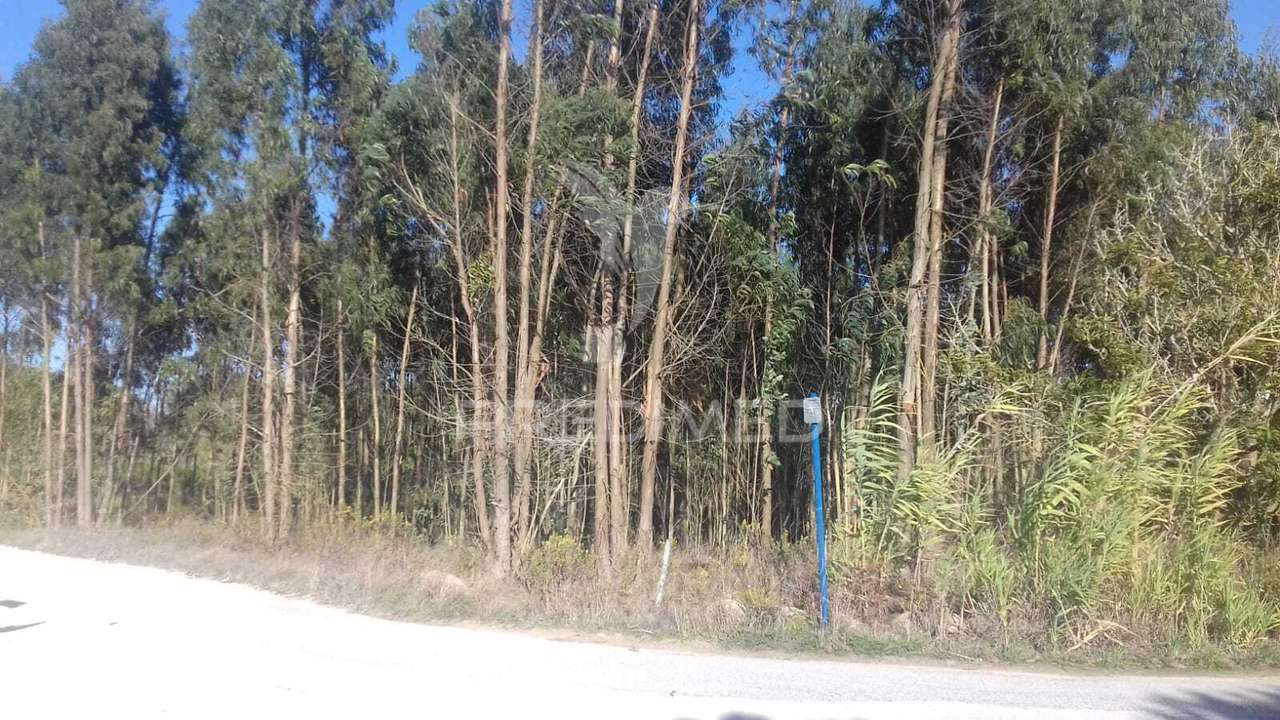 Terreno Rustico - Grande imagem: 2/3