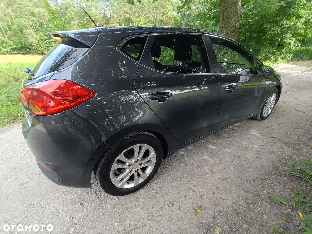 Kia Ceed 1.6 CRDi 128 Fifa World Cup Edition - 9