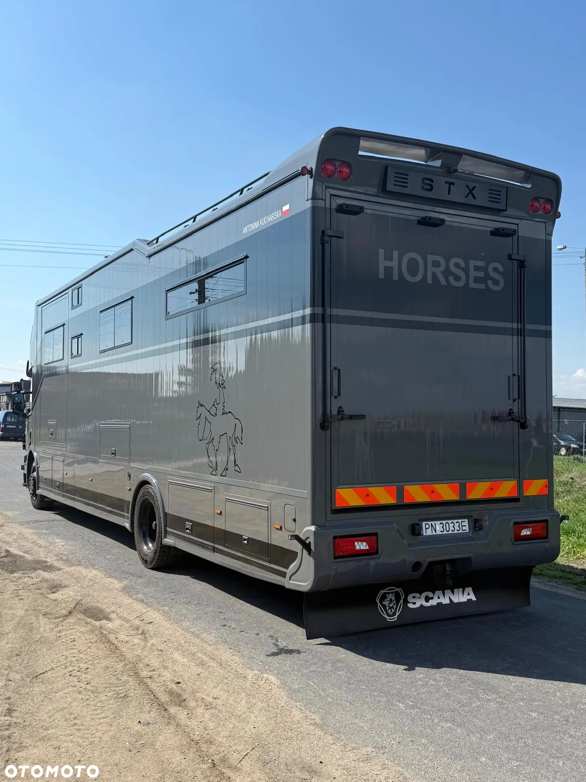 Scania Koniowóz STX P 380 2X POP OUT - 5