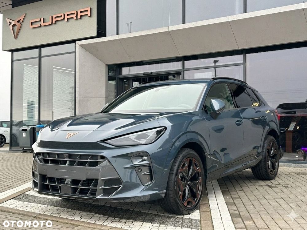 Cupra Terramar 2.0 TSI 4Drive DSG - 5