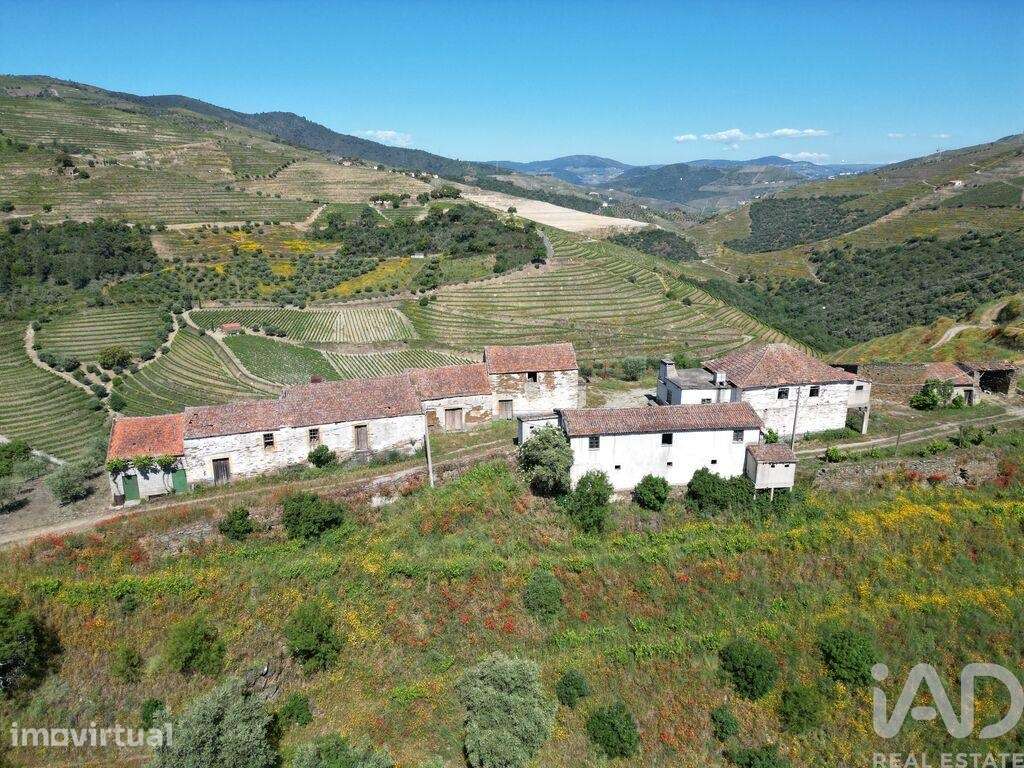 Quinta T2 em Ervedosa do Douro de 830 m2 - Grande imagem: 2/36