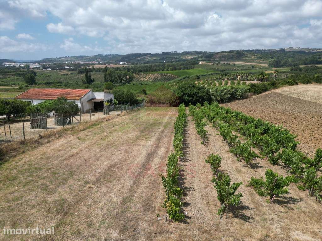 Terreno com Projeto Aprovado para Moradia T3 - Sobral do Parelhão - Grande imagem: 2/13