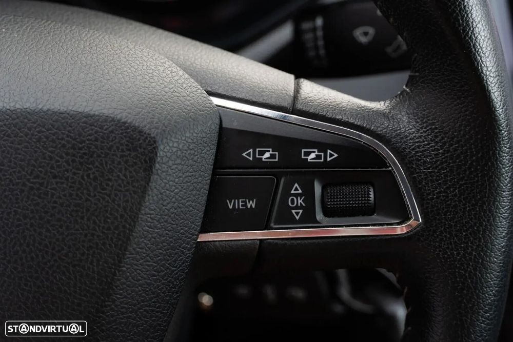 SEAT Ibiza - 22
