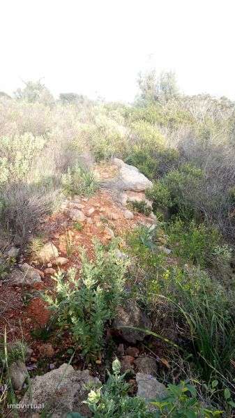 Terreno 4,6 Hect, ruína 120m2, Aldeia dos Matos, Paderne, Albufeira - Grande imagem: 5/12