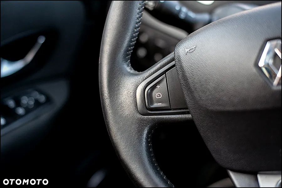 Renault Grand Scenic - 18