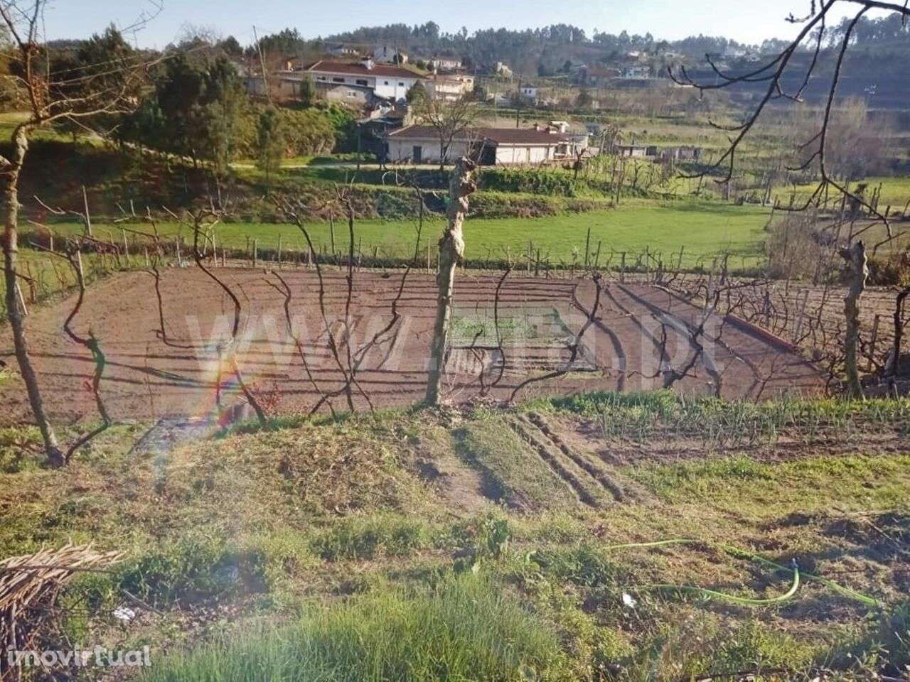 Moradia T1 / Marco de Canaveses, Constance - Grande imagem: 3/6