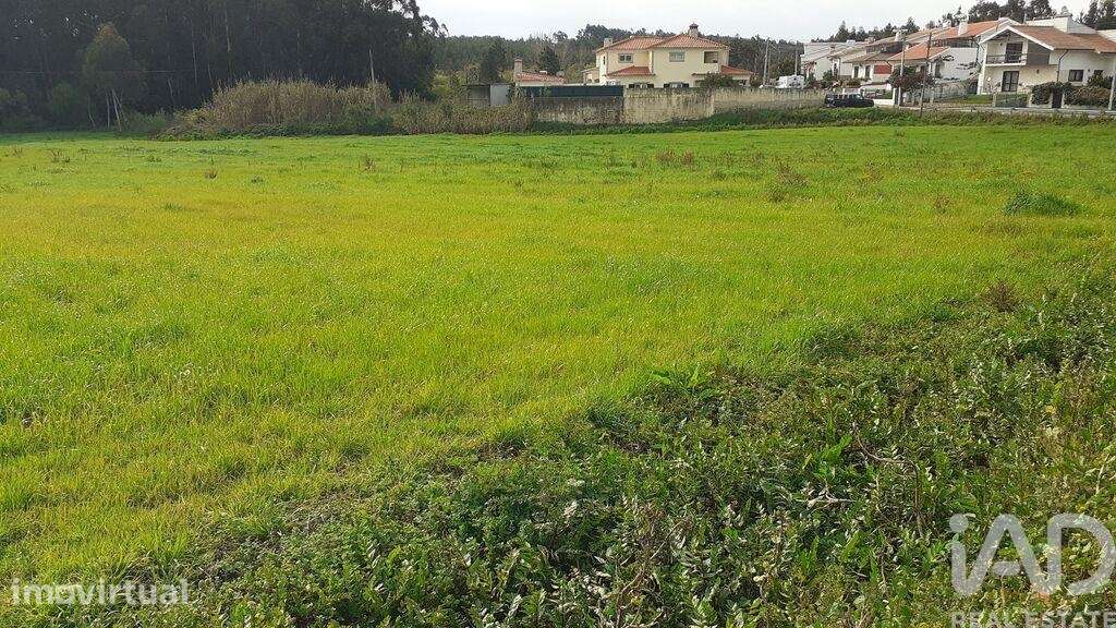 Terreno Agrícola em Eixo e Eirol - Grande imagem: 5/8