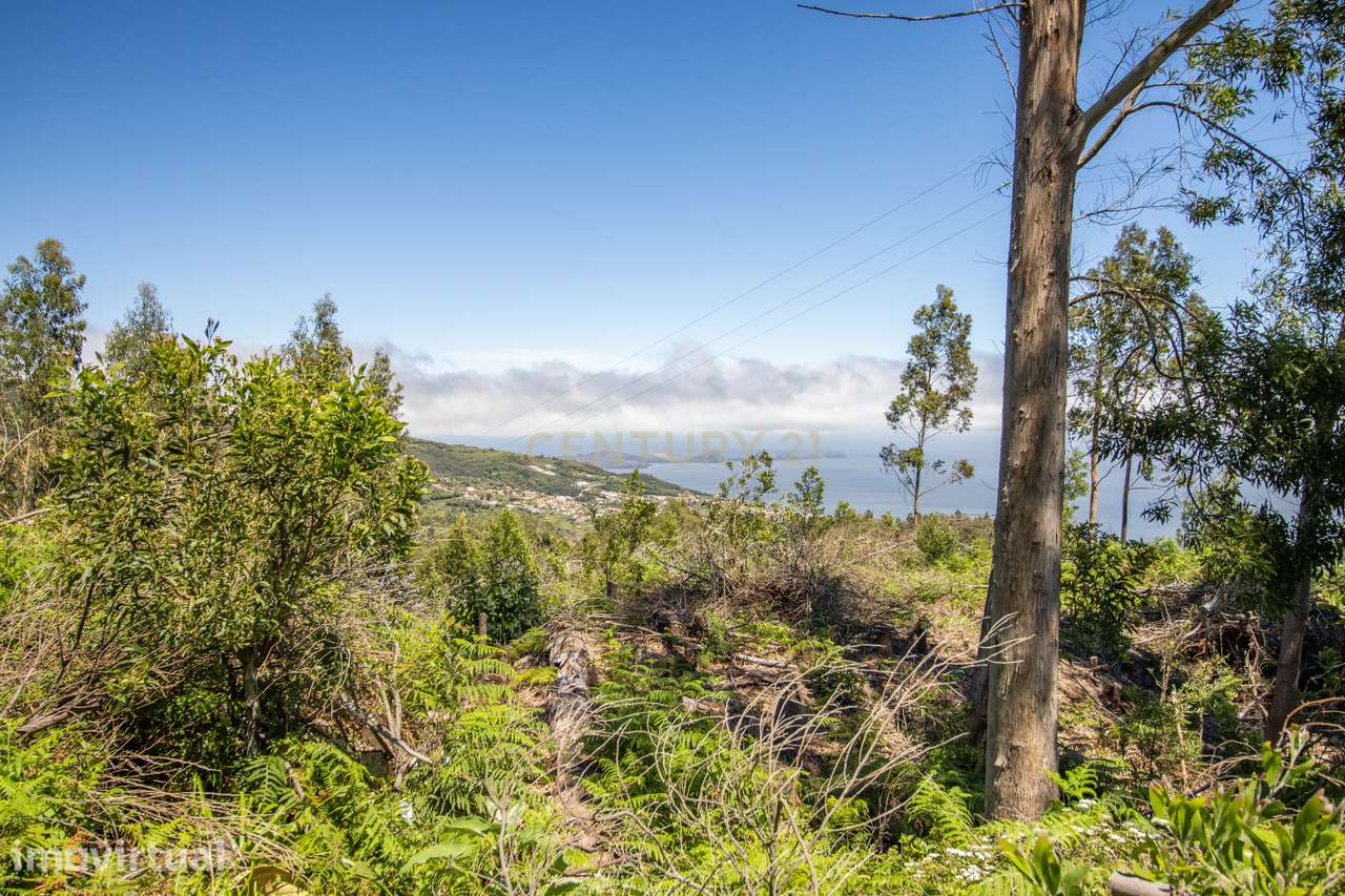 Terreno com Vista Mar e Viabilidade de Construção para Habitação Própr - Grande imagem: 4/17