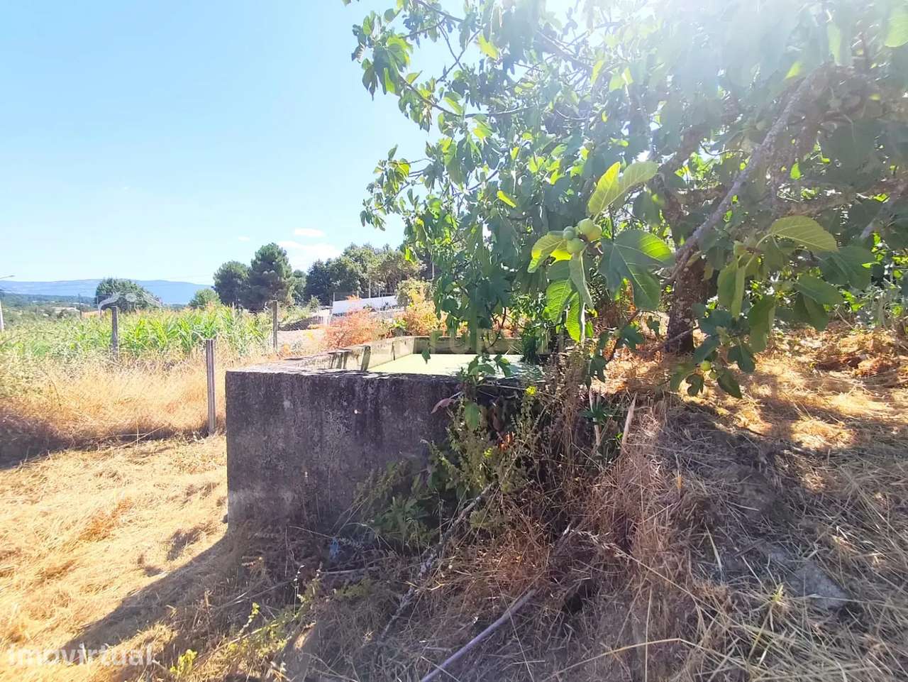 Terreno para construção em Bustelo, Chaves - 59.000€ - Grande imagem: 5/8
