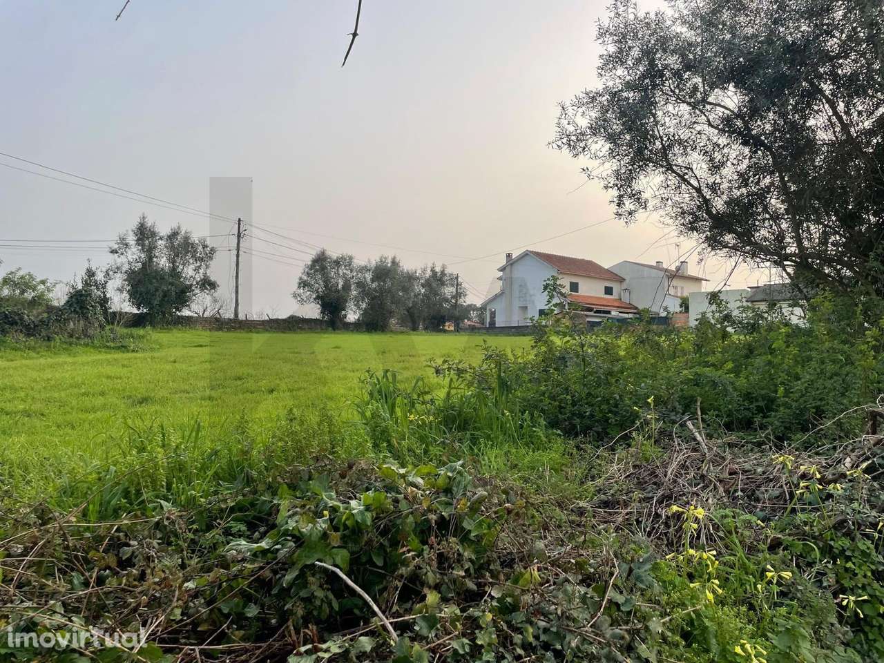 TERRENO PLANO PARA CONSTRUÇÃO EM RECARDÃES – 2.060 m2 COM DUAS FREN - Grande imagem: 3/24