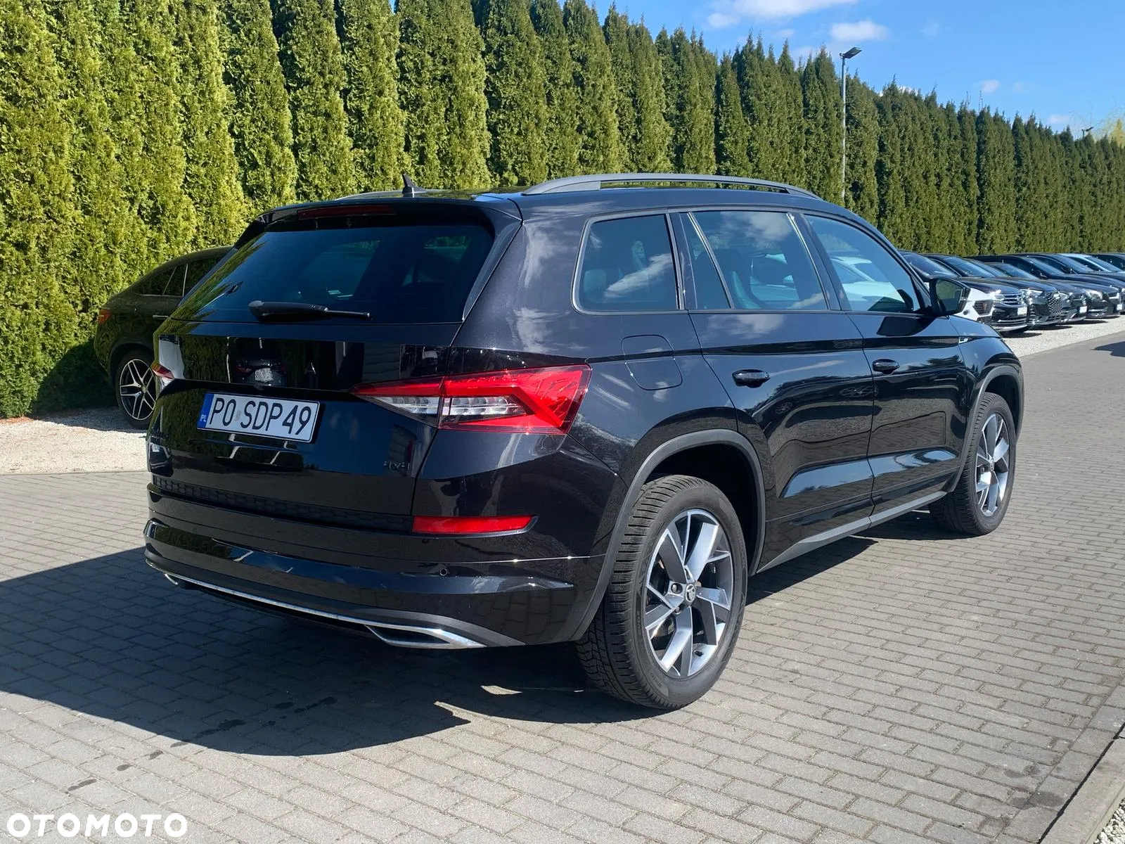 Skoda Kodiaq 2.0 TSI 4x4 Sportline DSG - 7