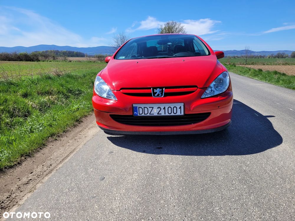 Peugeot 307 CC 2.0 - 14