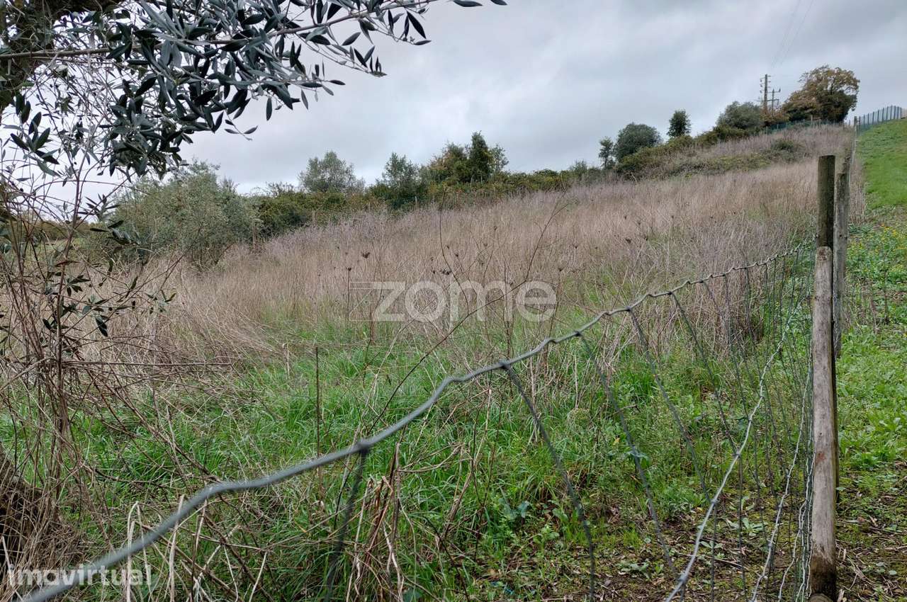 Terreno com cerca de 1600 m2, Fonte do Oleiro, Batalha - Grande imagem: 4/15