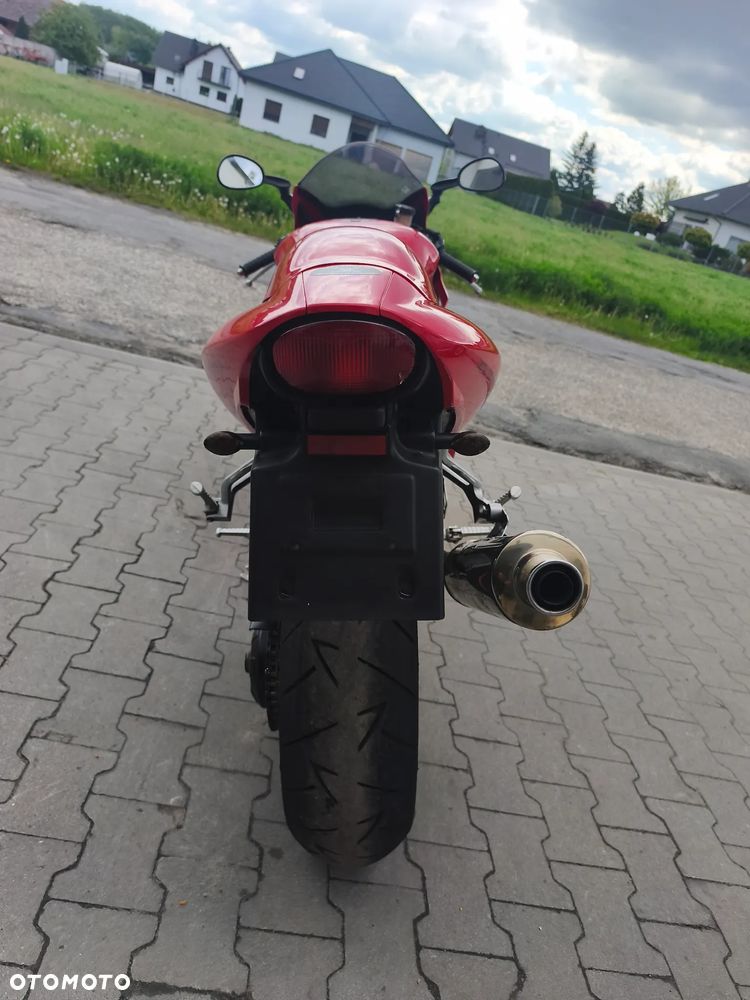 Triumph Daytona - 18