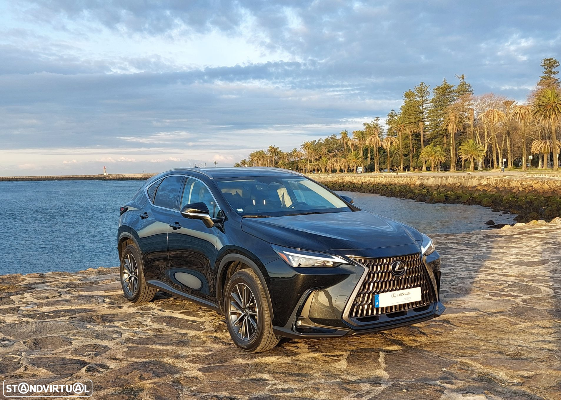 Lexus NX 450h+ - 7
