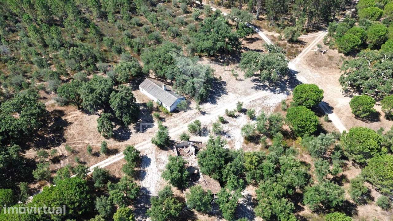 Propriedade Rústica (138hectares) com Habitação para Recuperar | Sa... - Grande imagem: 2/16