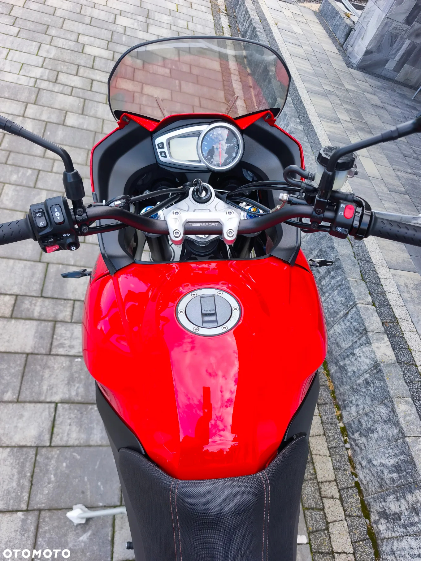 Triumph Tiger - 31