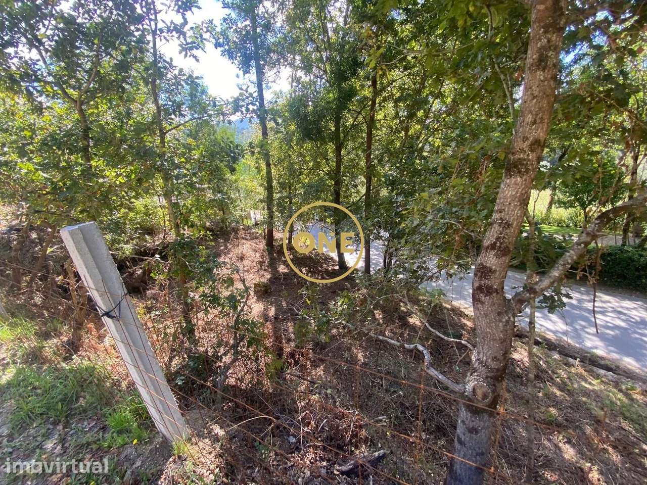 Dois Terrenos à venda em Valdosende P/construção - Grande imagem: 2/10