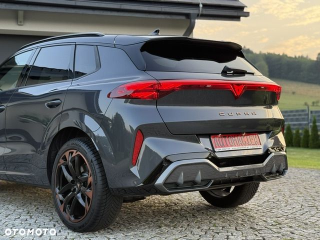Cupra Terramar 2.0 TSI 4Drive DSG VZ Tribe Edition - 13
