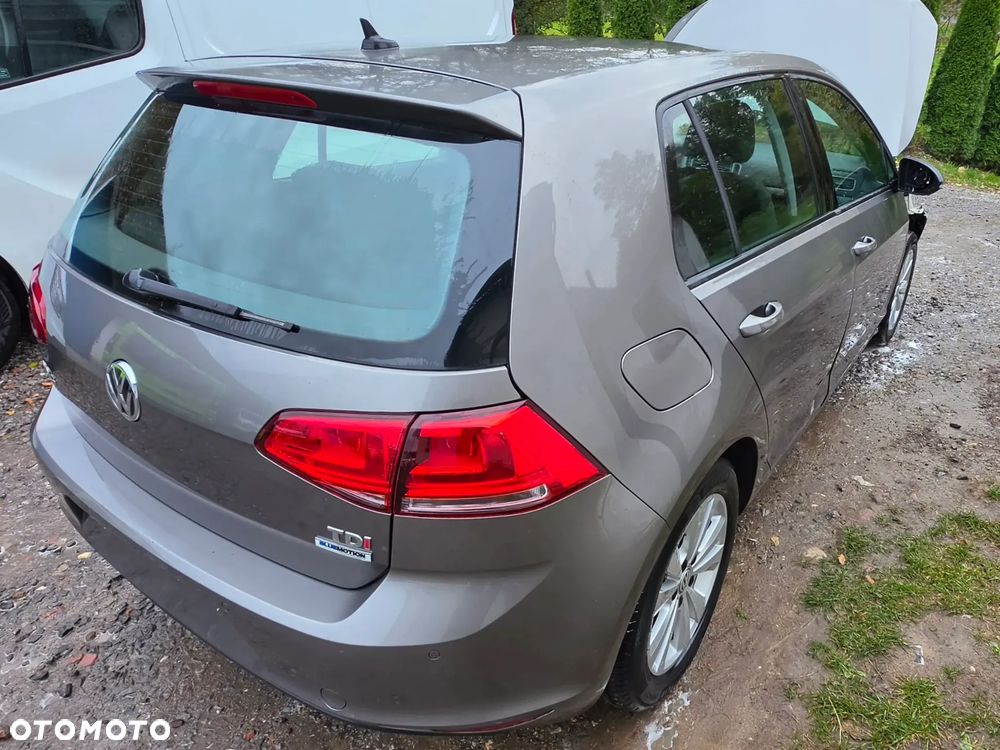 Volkswagen Golf - 12