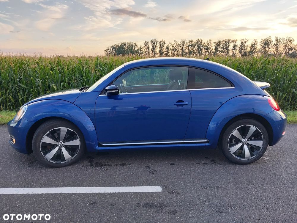 Volkswagen Beetle - 6