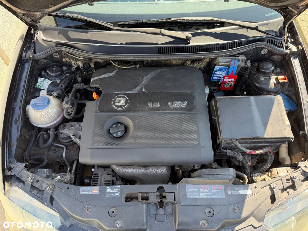 Seat Ibiza - 17