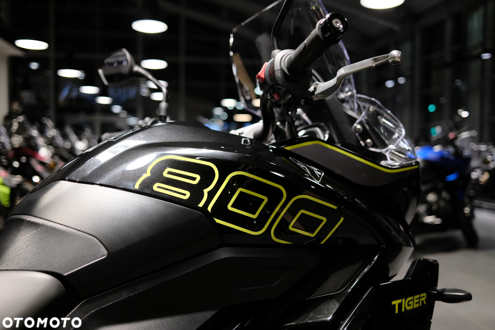 Triumph Tiger - 3