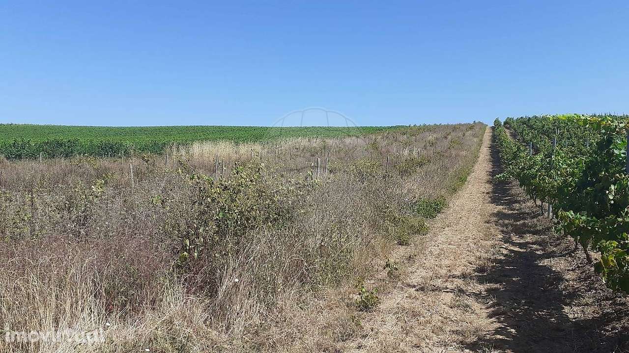 Terreno  para venda - Grande imagem: 2/5