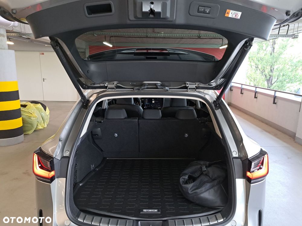Lexus NX - 10