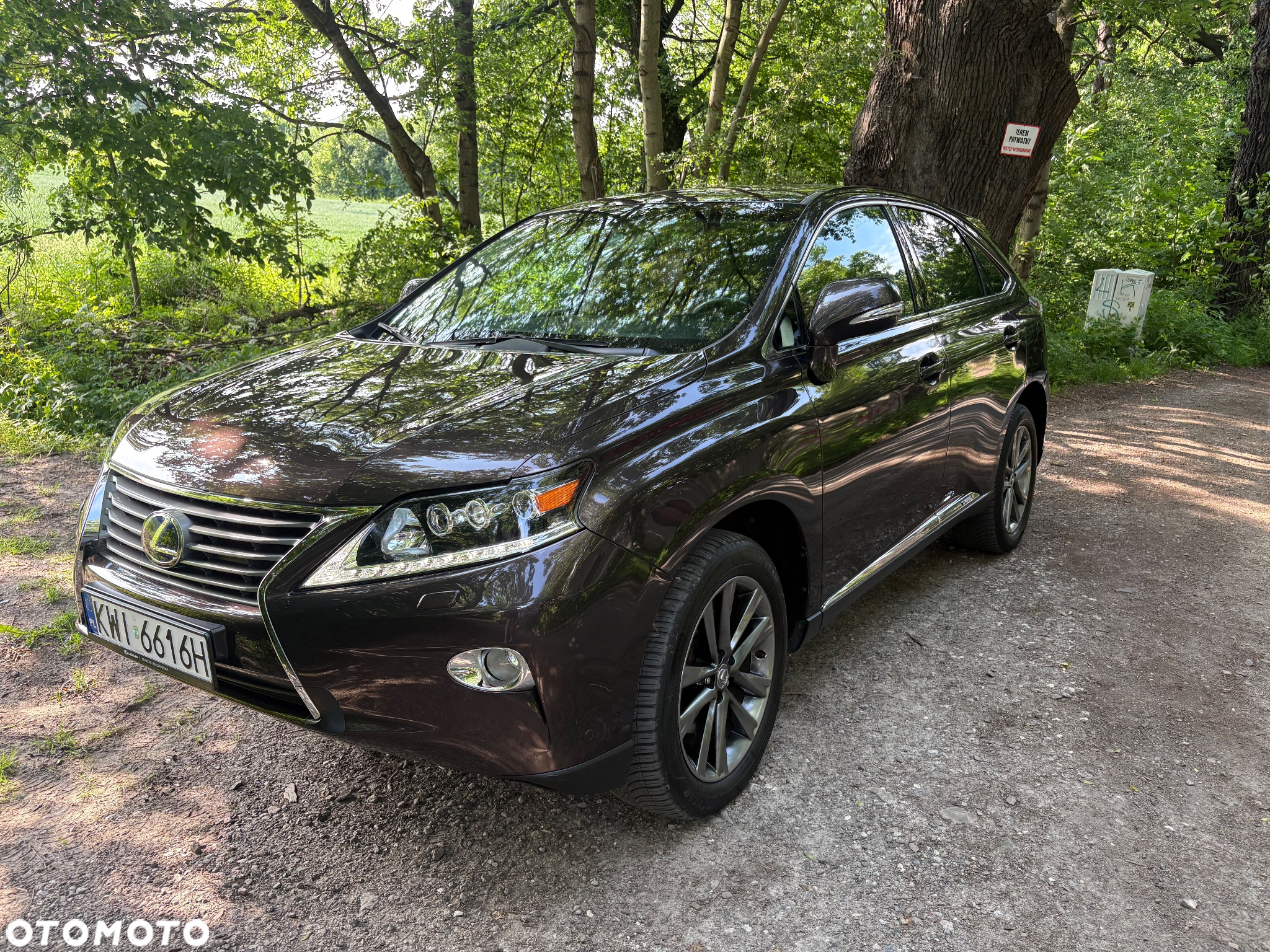 Lexus RX - 6