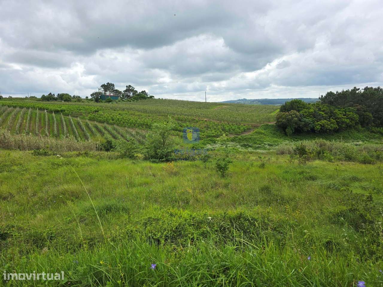 Terreno com 9.620m², sendo que cerca de 6.000m² encontram-se em Espaç - Grande imagem: 5/22
